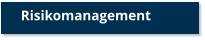 Risikomanagement